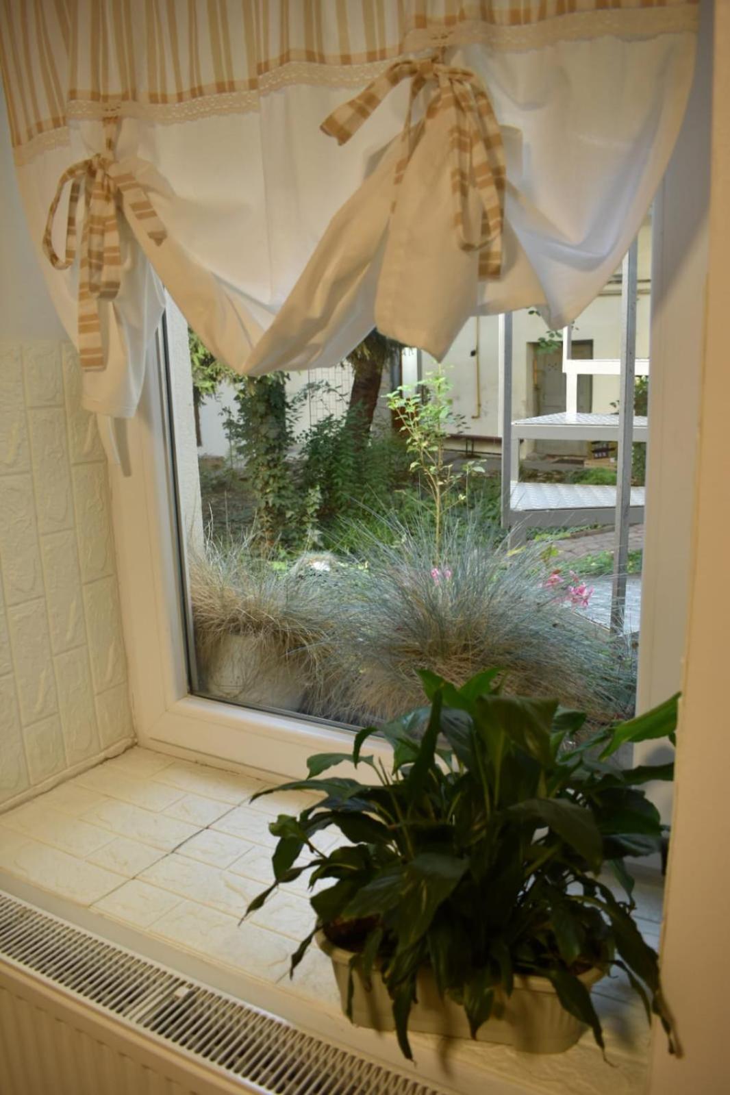 Anna'S Guesthouse คลูจ-นาโปกา ภายนอก รูปภาพ